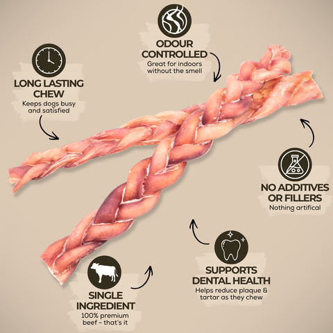 12 Inch Standard Braided Bully Stick