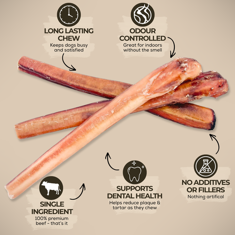 12 Inch Monster Bully Stick
