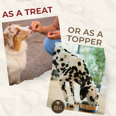 Freeze Dried Chicken 100g / 3.5oz