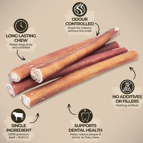 6 Inch Standard Bully Stick