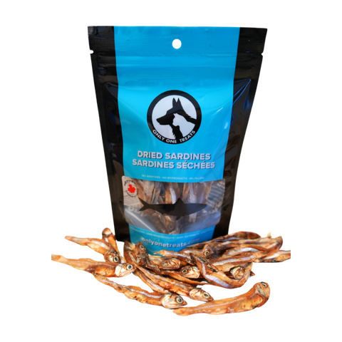 Dried Sardines 40g