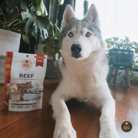 Freeze Dried Beef Liver 100g / 3.5oz