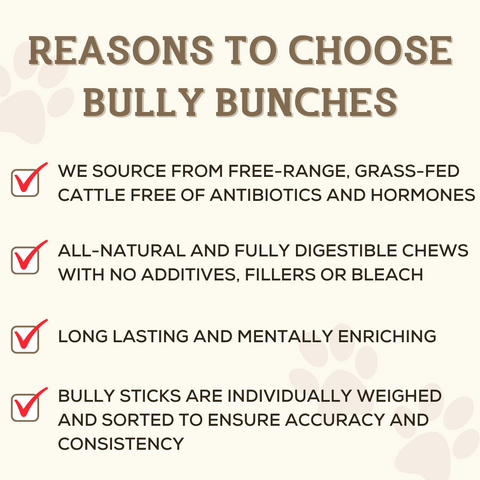 5-6 Inch Braided Collagen Stick