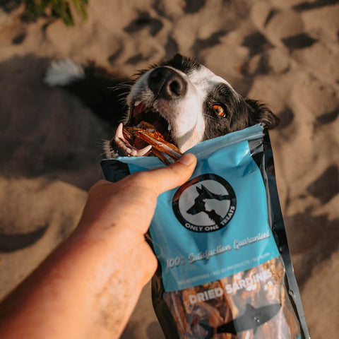 Dried Sardines 340g