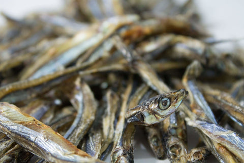 Dried Sardines 40g