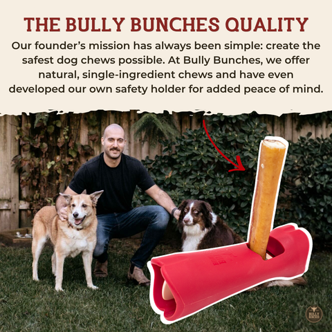 6 Inch Standard Bully Stick