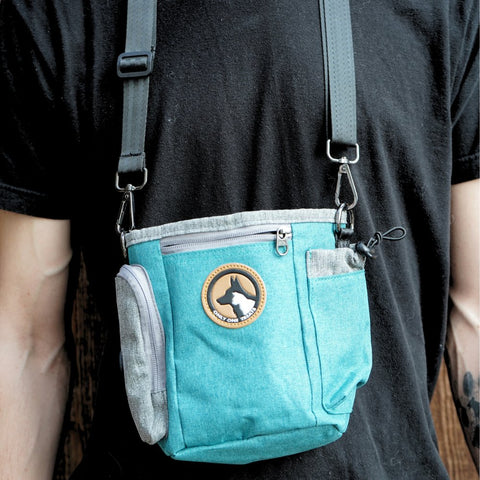 Large Treat Pouch - Teal